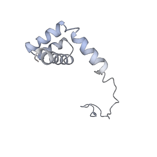6653_5juu_NA_v1-3
Saccharomyces cerevisiae 80S ribosome bound with elongation factor eEF2-GDP-sordarin and Taura Syndrome Virus IRES, Structure V (least rotated 40S subunit)