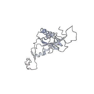 6653_5juu_N_v1-3
Saccharomyces cerevisiae 80S ribosome bound with elongation factor eEF2-GDP-sordarin and Taura Syndrome Virus IRES, Structure V (least rotated 40S subunit)