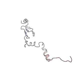 6653_5juu_OA_v1-3
Saccharomyces cerevisiae 80S ribosome bound with elongation factor eEF2-GDP-sordarin and Taura Syndrome Virus IRES, Structure V (least rotated 40S subunit)