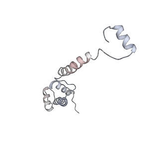 6653_5juu_OB_v1-3
Saccharomyces cerevisiae 80S ribosome bound with elongation factor eEF2-GDP-sordarin and Taura Syndrome Virus IRES, Structure V (least rotated 40S subunit)
