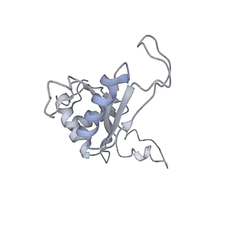 6653_5juu_O_v1-3
Saccharomyces cerevisiae 80S ribosome bound with elongation factor eEF2-GDP-sordarin and Taura Syndrome Virus IRES, Structure V (least rotated 40S subunit)