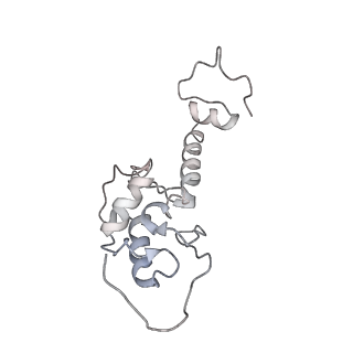 6653_5juu_PB_v1-3
Saccharomyces cerevisiae 80S ribosome bound with elongation factor eEF2-GDP-sordarin and Taura Syndrome Virus IRES, Structure V (least rotated 40S subunit)