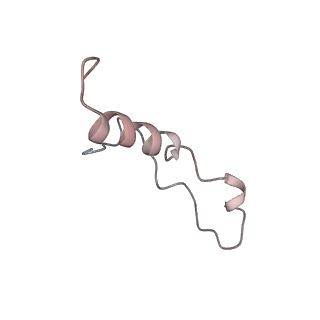 6653_5juu_QA_v1-3
Saccharomyces cerevisiae 80S ribosome bound with elongation factor eEF2-GDP-sordarin and Taura Syndrome Virus IRES, Structure V (least rotated 40S subunit)