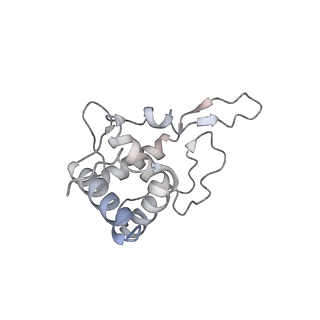 6653_5juu_QB_v1-3
Saccharomyces cerevisiae 80S ribosome bound with elongation factor eEF2-GDP-sordarin and Taura Syndrome Virus IRES, Structure V (least rotated 40S subunit)