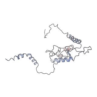 6653_5juu_Q_v1-3
Saccharomyces cerevisiae 80S ribosome bound with elongation factor eEF2-GDP-sordarin and Taura Syndrome Virus IRES, Structure V (least rotated 40S subunit)