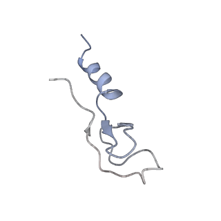 6653_5juu_RA_v1-3
Saccharomyces cerevisiae 80S ribosome bound with elongation factor eEF2-GDP-sordarin and Taura Syndrome Virus IRES, Structure V (least rotated 40S subunit)