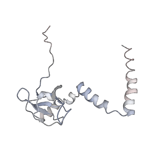 6653_5juu_R_v1-3
Saccharomyces cerevisiae 80S ribosome bound with elongation factor eEF2-GDP-sordarin and Taura Syndrome Virus IRES, Structure V (least rotated 40S subunit)