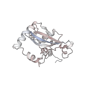 6653_5juu_S_v1-3
Saccharomyces cerevisiae 80S ribosome bound with elongation factor eEF2-GDP-sordarin and Taura Syndrome Virus IRES, Structure V (least rotated 40S subunit)