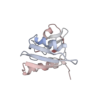 6653_5juu_TB_v1-3
Saccharomyces cerevisiae 80S ribosome bound with elongation factor eEF2-GDP-sordarin and Taura Syndrome Virus IRES, Structure V (least rotated 40S subunit)