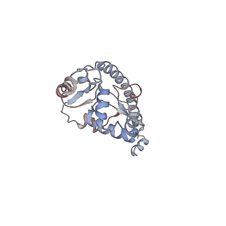 6653_5juu_T_v1-3
Saccharomyces cerevisiae 80S ribosome bound with elongation factor eEF2-GDP-sordarin and Taura Syndrome Virus IRES, Structure V (least rotated 40S subunit)