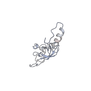6653_5juu_UB_v1-3
Saccharomyces cerevisiae 80S ribosome bound with elongation factor eEF2-GDP-sordarin and Taura Syndrome Virus IRES, Structure V (least rotated 40S subunit)