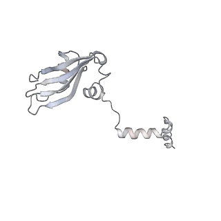 6653_5juu_VB_v1-3
Saccharomyces cerevisiae 80S ribosome bound with elongation factor eEF2-GDP-sordarin and Taura Syndrome Virus IRES, Structure V (least rotated 40S subunit)