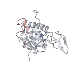 6653_5juu_XA_v1-3
Saccharomyces cerevisiae 80S ribosome bound with elongation factor eEF2-GDP-sordarin and Taura Syndrome Virus IRES, Structure V (least rotated 40S subunit)