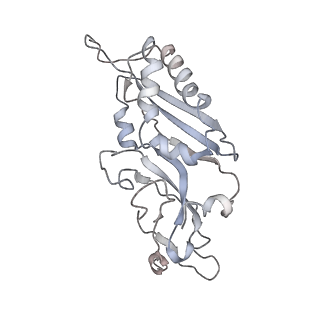 6653_5juu_YA_v1-3
Saccharomyces cerevisiae 80S ribosome bound with elongation factor eEF2-GDP-sordarin and Taura Syndrome Virus IRES, Structure V (least rotated 40S subunit)