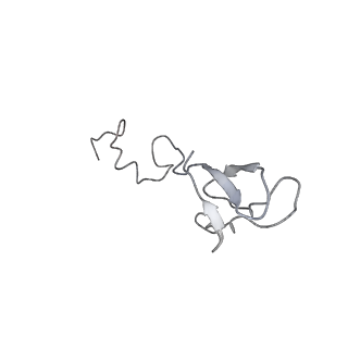 6653_5juu_YB_v1-3
Saccharomyces cerevisiae 80S ribosome bound with elongation factor eEF2-GDP-sordarin and Taura Syndrome Virus IRES, Structure V (least rotated 40S subunit)