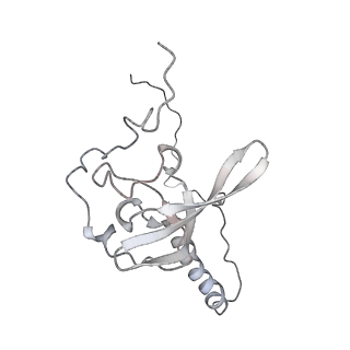 6653_5juu_Y_v1-3
Saccharomyces cerevisiae 80S ribosome bound with elongation factor eEF2-GDP-sordarin and Taura Syndrome Virus IRES, Structure V (least rotated 40S subunit)