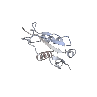 6653_5juu_Z_v1-3
Saccharomyces cerevisiae 80S ribosome bound with elongation factor eEF2-GDP-sordarin and Taura Syndrome Virus IRES, Structure V (least rotated 40S subunit)
