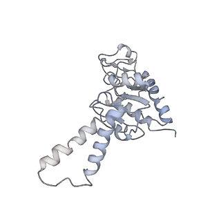 8176_5ju8_AB_v1-1
Cryo-EM structure of an ErmBL-stalled ribosome in complex with P-, and E-tRNA