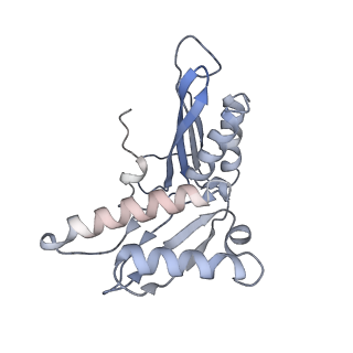 8176_5ju8_AC_v1-1
Cryo-EM structure of an ErmBL-stalled ribosome in complex with P-, and E-tRNA