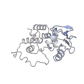 8176_5ju8_AD_v1-1
Cryo-EM structure of an ErmBL-stalled ribosome in complex with P-, and E-tRNA