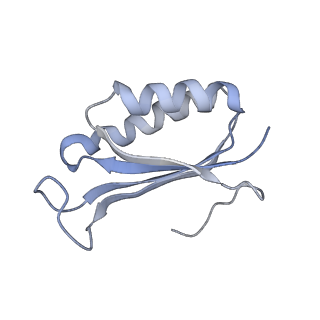 8176_5ju8_AF_v1-1
Cryo-EM structure of an ErmBL-stalled ribosome in complex with P-, and E-tRNA