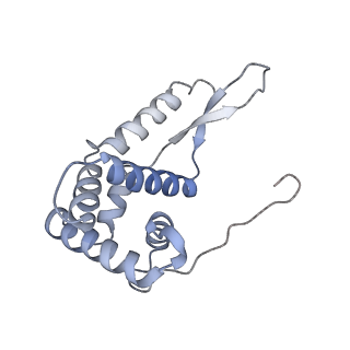 8176_5ju8_AG_v1-1
Cryo-EM structure of an ErmBL-stalled ribosome in complex with P-, and E-tRNA