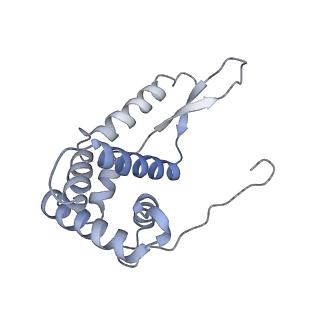 8176_5ju8_AG_v2-2
Cryo-EM structure of an ErmBL-stalled ribosome in complex with P-, and E-tRNA