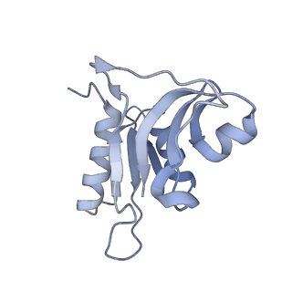 8176_5ju8_AH_v1-1
Cryo-EM structure of an ErmBL-stalled ribosome in complex with P-, and E-tRNA