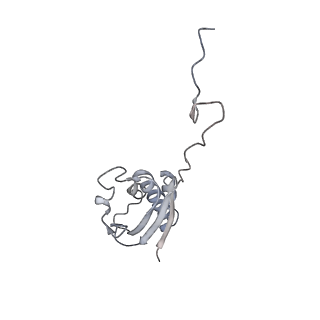 8176_5ju8_AI_v1-1
Cryo-EM structure of an ErmBL-stalled ribosome in complex with P-, and E-tRNA