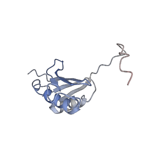 8176_5ju8_AK_v1-1
Cryo-EM structure of an ErmBL-stalled ribosome in complex with P-, and E-tRNA