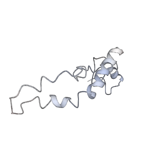 8176_5ju8_AN_v1-1
Cryo-EM structure of an ErmBL-stalled ribosome in complex with P-, and E-tRNA