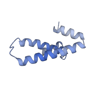 8176_5ju8_AO_v2-2
Cryo-EM structure of an ErmBL-stalled ribosome in complex with P-, and E-tRNA