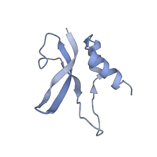 8176_5ju8_AP_v1-1
Cryo-EM structure of an ErmBL-stalled ribosome in complex with P-, and E-tRNA