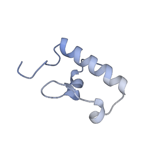 8176_5ju8_AR_v1-1
Cryo-EM structure of an ErmBL-stalled ribosome in complex with P-, and E-tRNA