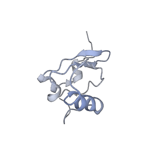 8176_5ju8_AS_v1-1
Cryo-EM structure of an ErmBL-stalled ribosome in complex with P-, and E-tRNA