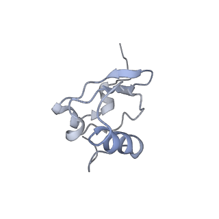 8176_5ju8_AS_v2-2
Cryo-EM structure of an ErmBL-stalled ribosome in complex with P-, and E-tRNA