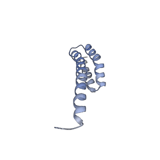 8176_5ju8_AT_v1-1
Cryo-EM structure of an ErmBL-stalled ribosome in complex with P-, and E-tRNA