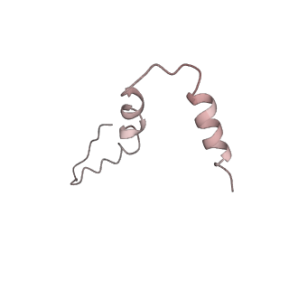 8176_5ju8_AU_v1-1
Cryo-EM structure of an ErmBL-stalled ribosome in complex with P-, and E-tRNA