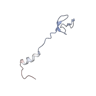 8176_5ju8_B0_v1-1
Cryo-EM structure of an ErmBL-stalled ribosome in complex with P-, and E-tRNA
