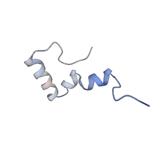 8176_5ju8_B2_v1-1
Cryo-EM structure of an ErmBL-stalled ribosome in complex with P-, and E-tRNA