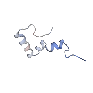8176_5ju8_B2_v2-2
Cryo-EM structure of an ErmBL-stalled ribosome in complex with P-, and E-tRNA