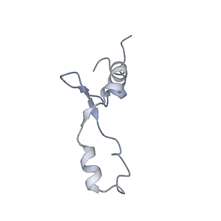 8176_5ju8_B3_v1-1
Cryo-EM structure of an ErmBL-stalled ribosome in complex with P-, and E-tRNA