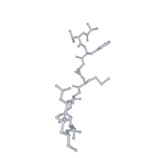 8176_5ju8_B5_v1-1
Cryo-EM structure of an ErmBL-stalled ribosome in complex with P-, and E-tRNA