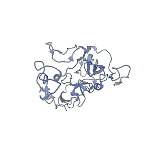 8176_5ju8_BC_v1-1
Cryo-EM structure of an ErmBL-stalled ribosome in complex with P-, and E-tRNA