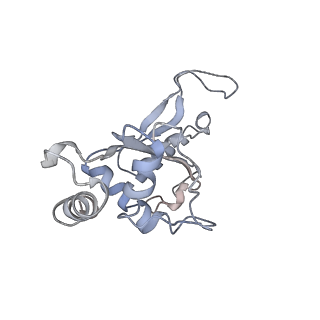 8176_5ju8_BF_v1-1
Cryo-EM structure of an ErmBL-stalled ribosome in complex with P-, and E-tRNA