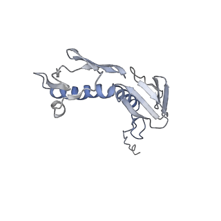 8176_5ju8_BG_v1-1
Cryo-EM structure of an ErmBL-stalled ribosome in complex with P-, and E-tRNA