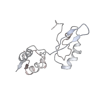 8176_5ju8_BI_v1-1
Cryo-EM structure of an ErmBL-stalled ribosome in complex with P-, and E-tRNA