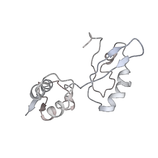 8176_5ju8_BI_v2-2
Cryo-EM structure of an ErmBL-stalled ribosome in complex with P-, and E-tRNA