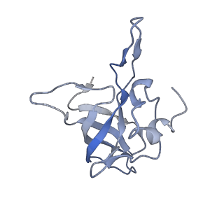 8176_5ju8_BK_v1-1
Cryo-EM structure of an ErmBL-stalled ribosome in complex with P-, and E-tRNA