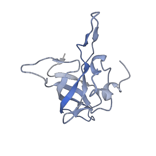 8176_5ju8_BK_v2-2
Cryo-EM structure of an ErmBL-stalled ribosome in complex with P-, and E-tRNA